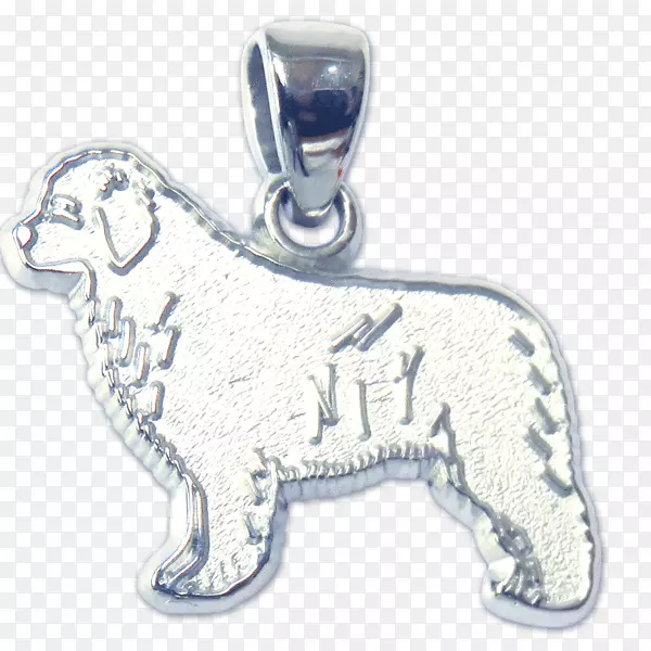 狗盒银身珠宝-纽芬兰犬