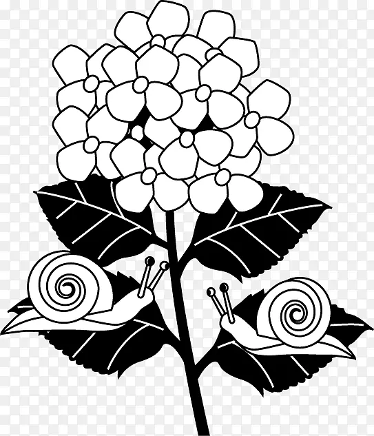 花卉设计着色书视觉艺术黑白花