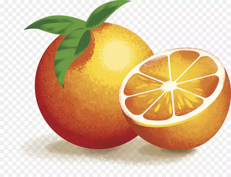 血橙，橙子，柚子，柠檬，橘子，柚子
