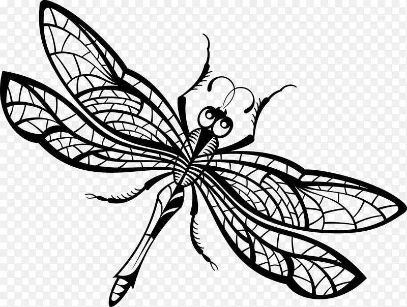 绘制蜻蜓-昆虫