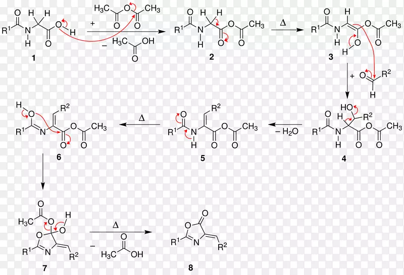 马尿酸Erlenmeyer-pl chl氮内酯和氨基酸合成Perkin反应苯甲醛有机化学-Erlenmeyer