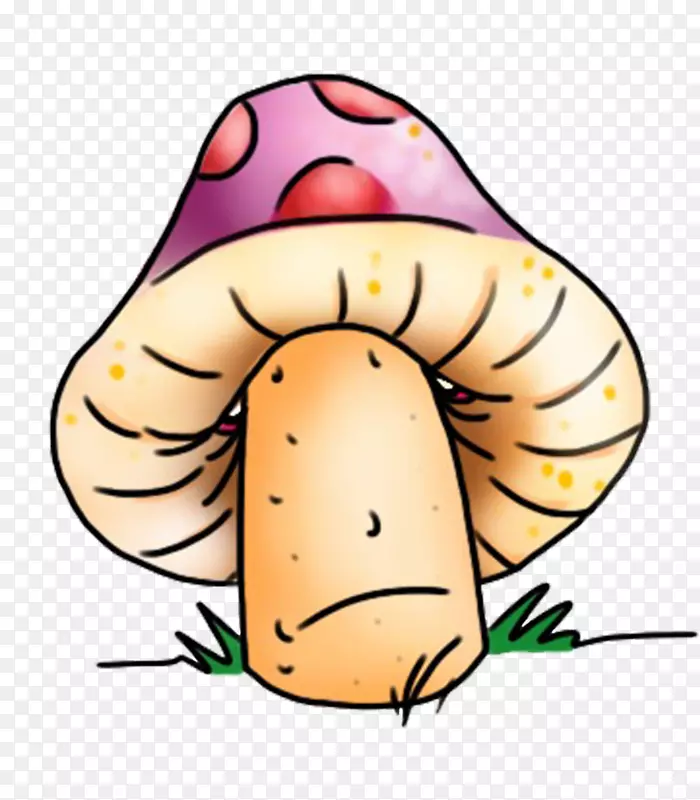 可食用蘑菇领口t恤