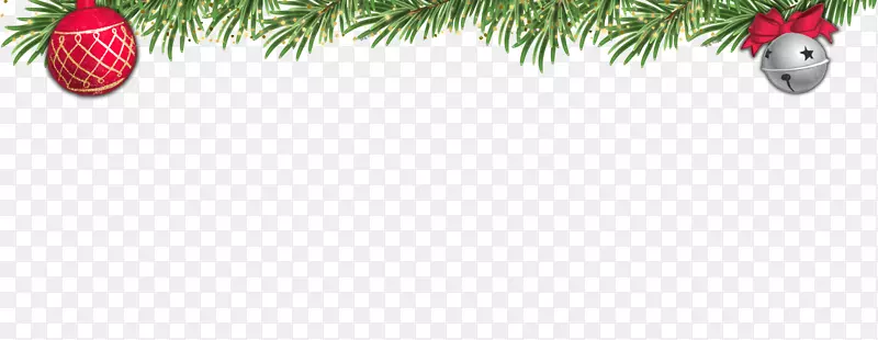 圣诞树冷杉圣诞装饰品-Meijer标志