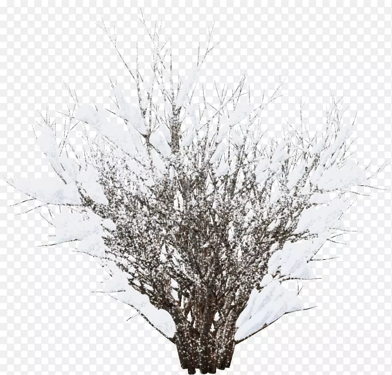 冬季雪灌木剪贴画-冬天