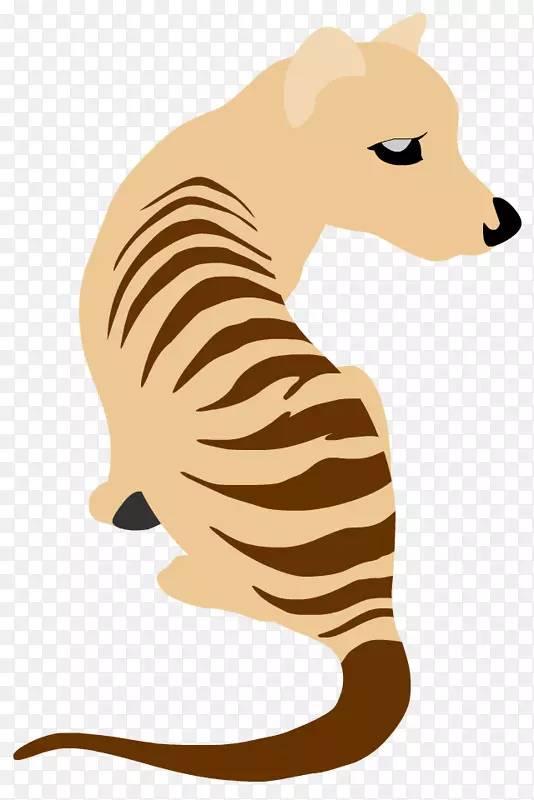 胡须、虎、狮、猫、犬、虎