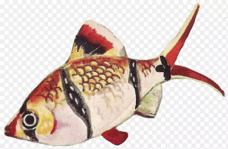 动物鱼-暹罗斗鱼