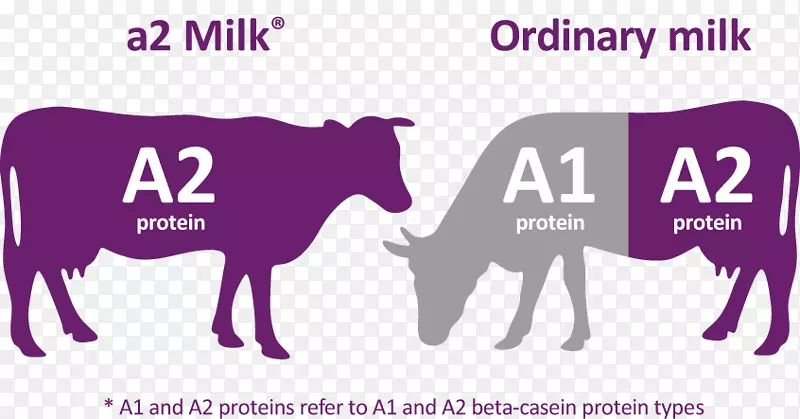 a2牛奶公司的牛乳产品-a2牛奶
