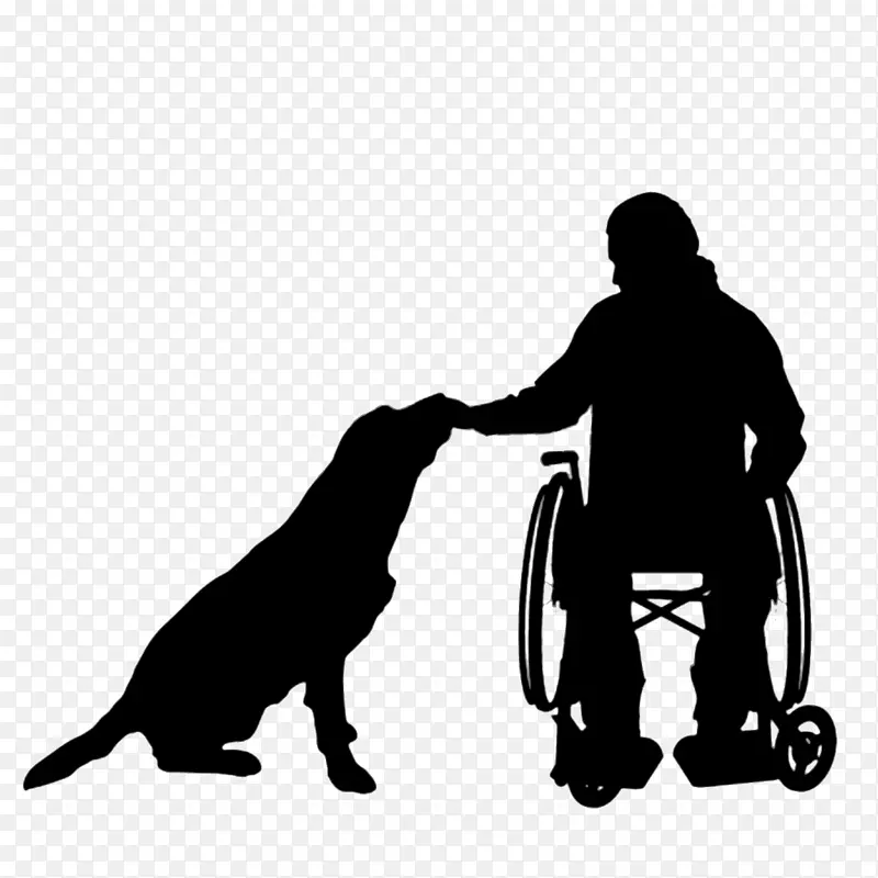 狗轮椅侧影残疾-狗