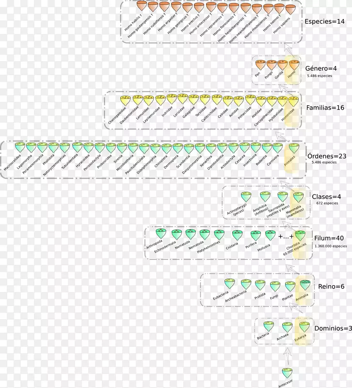 纸线角字体线