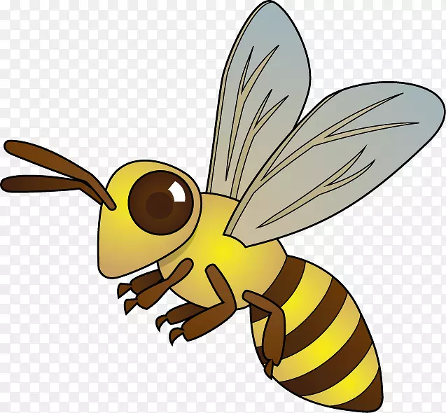 蜜蜂黄蜂昆虫剪贴画-蜜蜂