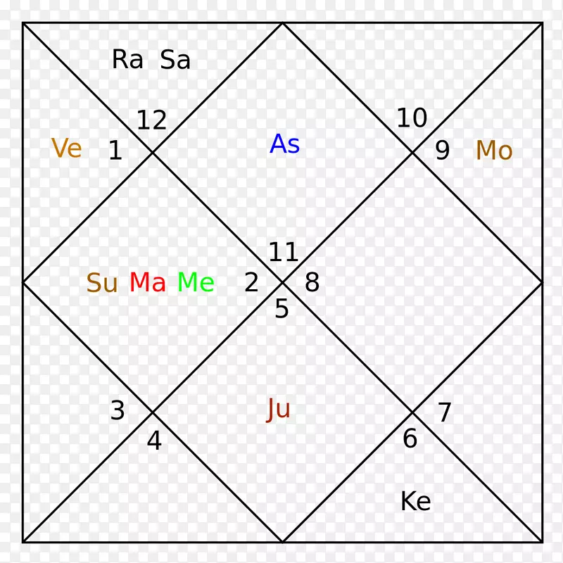 十二宫：探索占星术宫-出生图