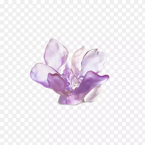 紫罗兰花园粉红色奇幻花园