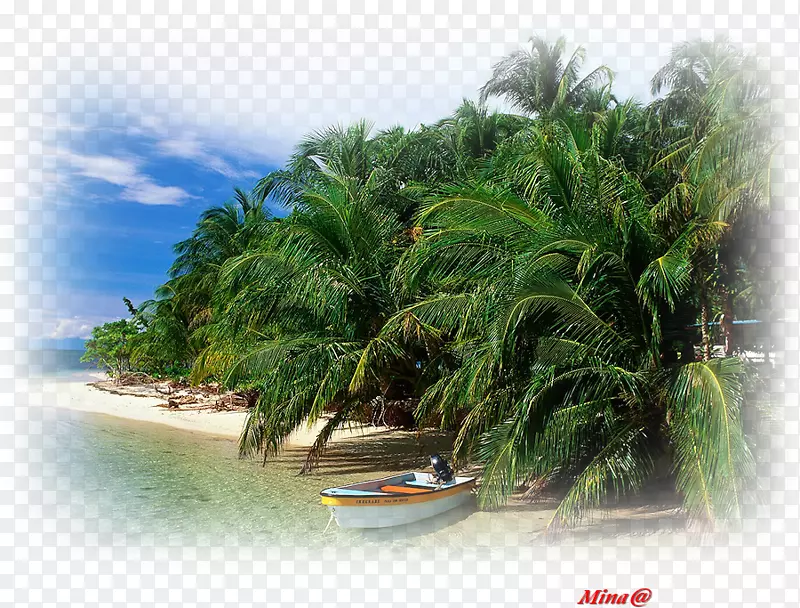 Bocas镇，Bocas del Toro Solarte岛Cayos zapatilla Panamá省-旅行