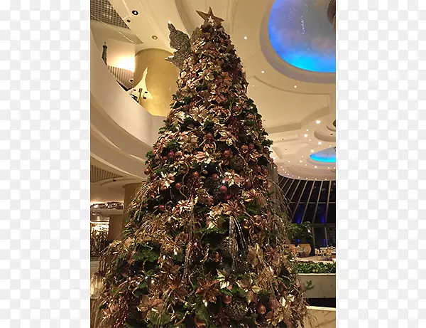 圣诞树布吉蒂玛云杉-新年牡丹花图片