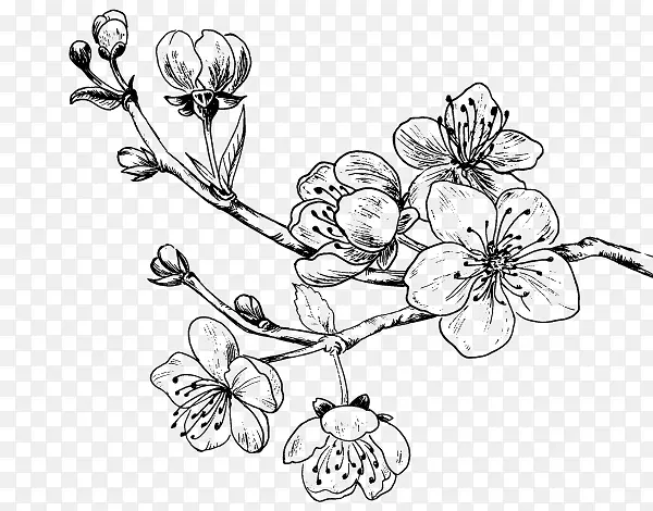 画樱花甜樱桃树纹身