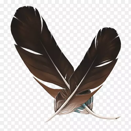 羽毛工艺铁-羽毛