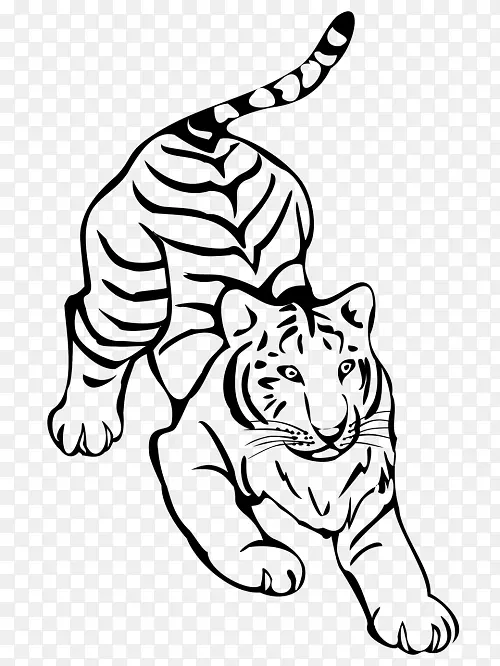 虎猫科线画夹艺术-老虎