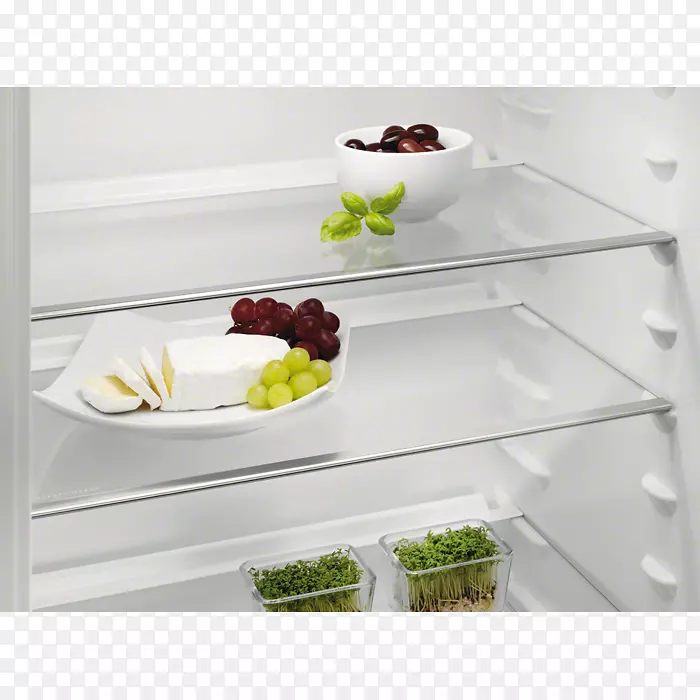 电冰箱伊莱克斯2001英尺冷冻食品冰箱