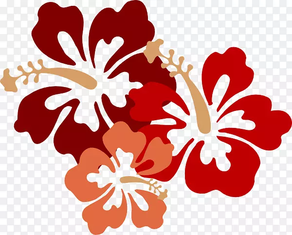 夏威夷木槿花画夹艺术-红芙蓉