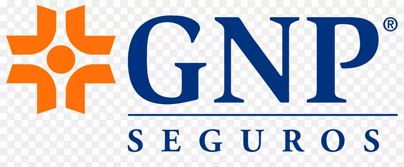 国民生产总值(Grupo Nacional省级SA徽标保险)-企业