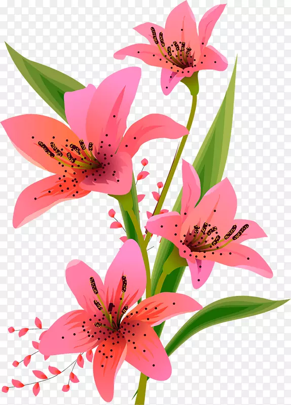 百合花卉设计