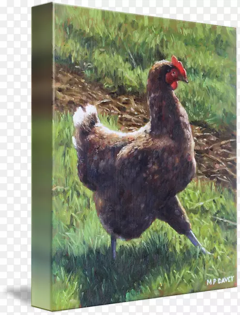 鸡印油画复制-牧场鸡