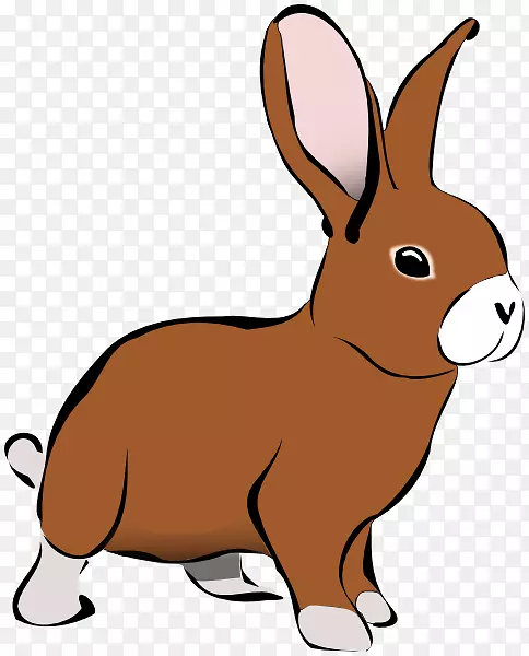 兔家兔剪贴画-兔子