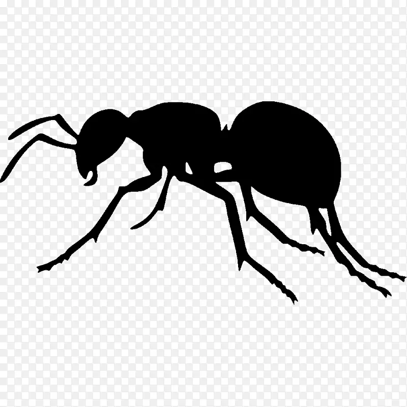 蚂蚁剪影昆虫剪贴画-剪影