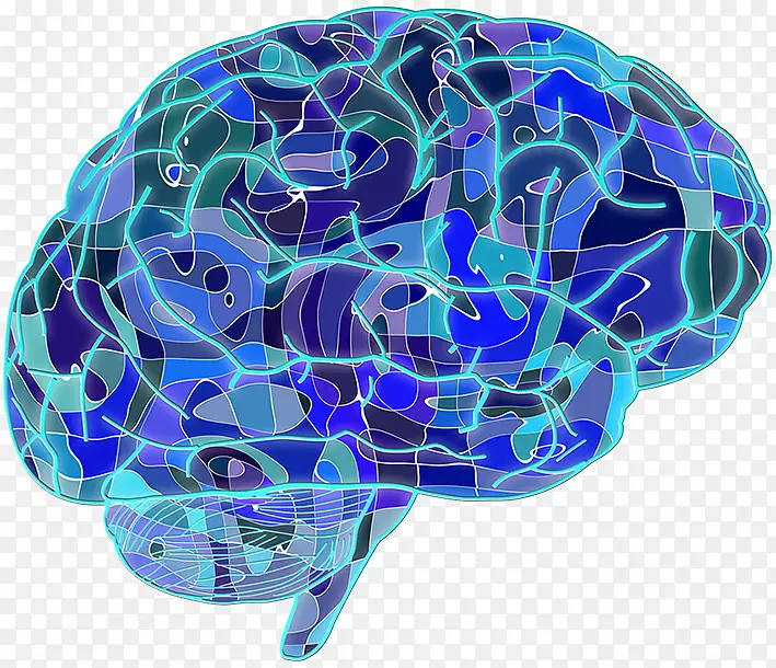 蓝脑计划神经元人脑神经学