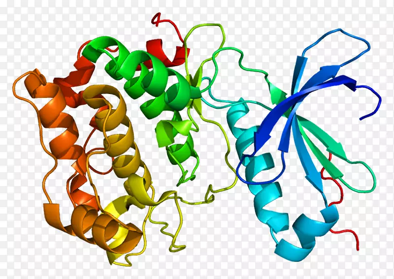 prkcq蛋白激酶c基因-tRNA