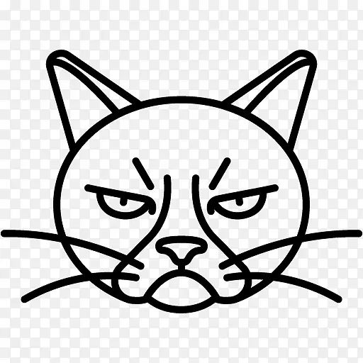 脾气暴躁的猫画夹艺术-猫