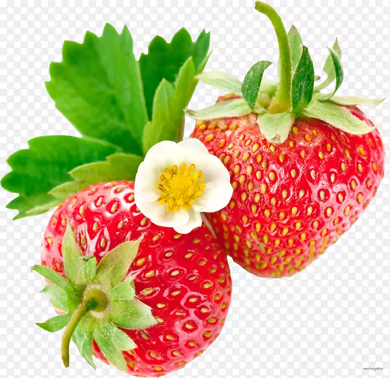 麝香草莓辅料-草莓