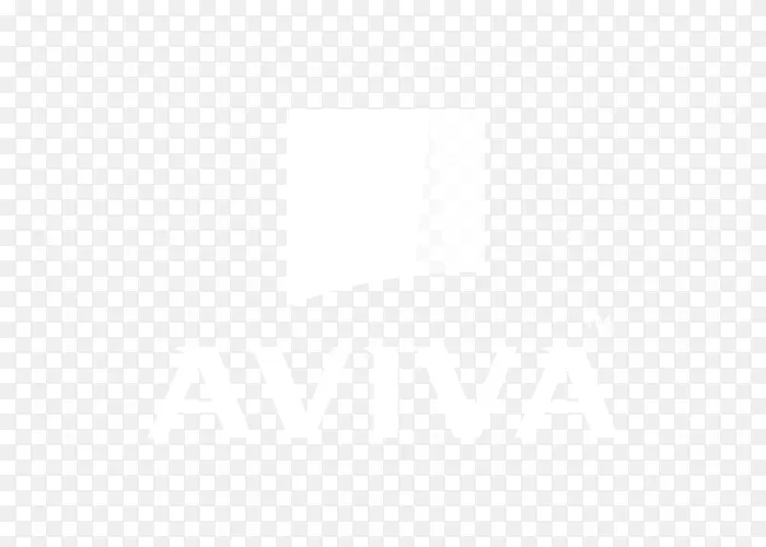 计算机图标白色计算机软件-Aviva徽标