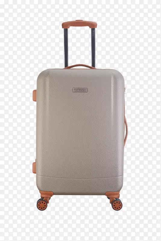手提行李手提箱行李Samsonite旅行护照和行李材料