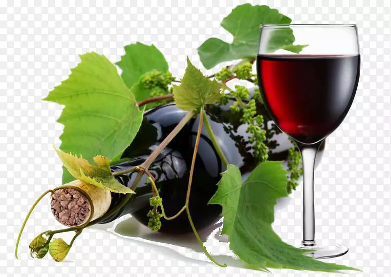 普通葡萄酒葡萄栽培用葡萄酒