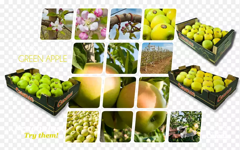 素食烹饪水果食品苹果宇宙-苹果