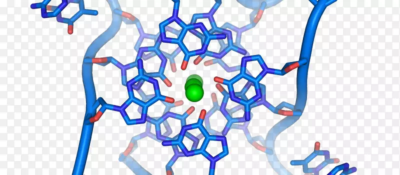 双螺旋：发现dna g-四链核酸双螺旋核酸结构-dna结构的个人记述