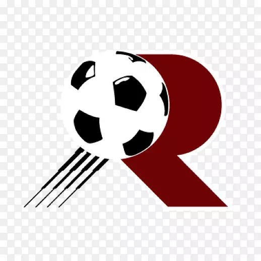 Reggina 1914 2008-09意甲足球封装了后记-足球
