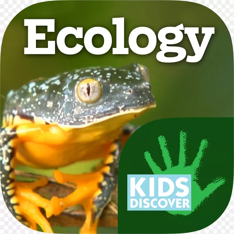 孩子们发现惊人的适应树蛙自然环境生态-生态信息图表