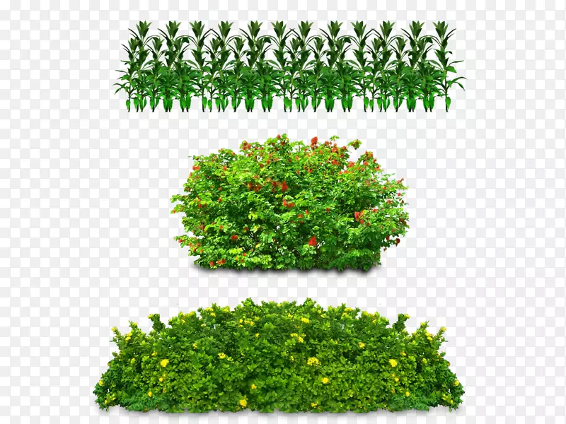 树木图形艺术剪贴画-树