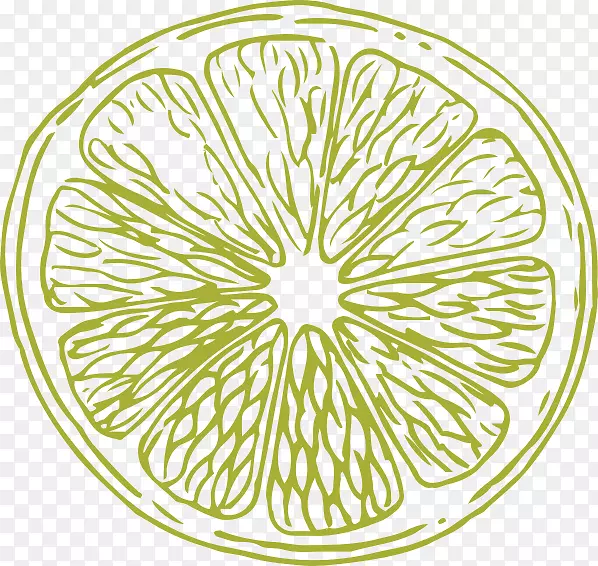 柑橘农场自行车轮奖励项目-栽培文化