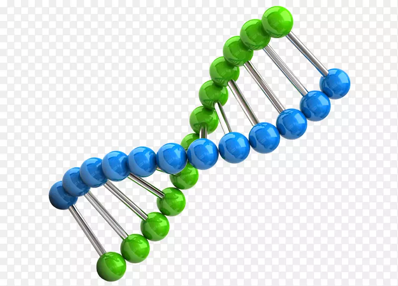 染色体遗传学DNA生物学