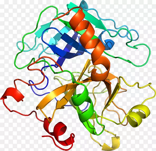 线点生物剪贴画线