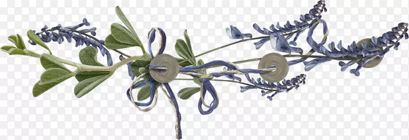 花卉设计法莫拉马切花植物茎-лаванда