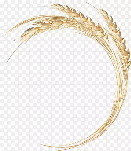 小麦穗剪艺术-小麦