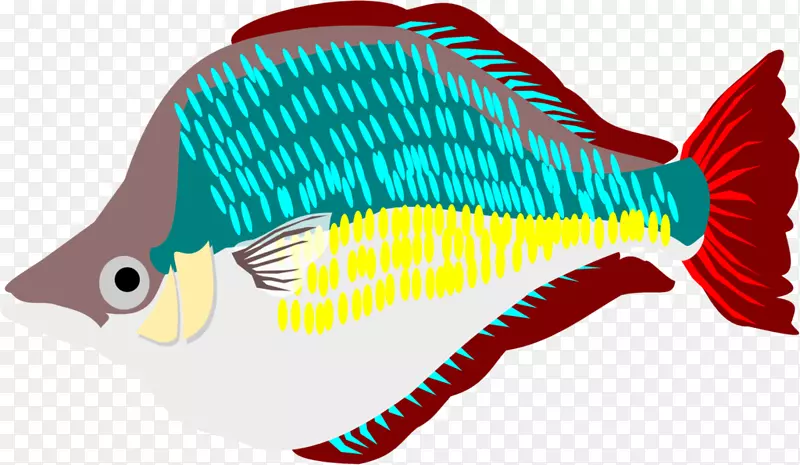 海洋生物动物剪贴画-彩虹鱼