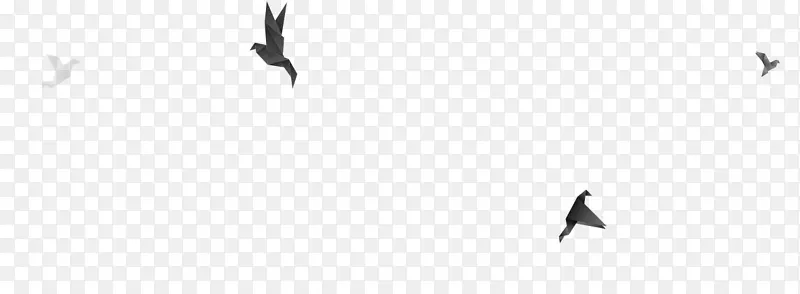 喙鸟迁移字体-挠性设计
