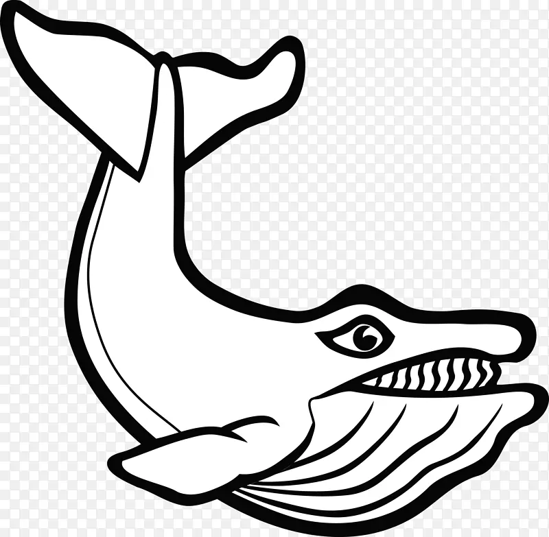鲸目白鲸海豚剪贴画鲸缘