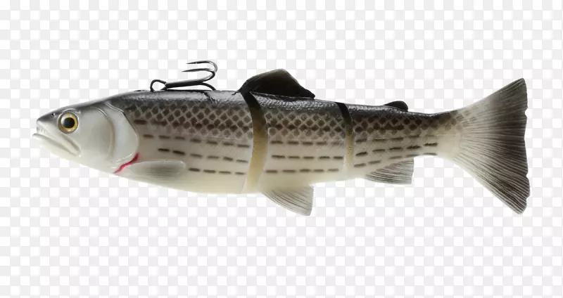 鱼饵鳟鱼鱼饵和诱饵渔具-3D线