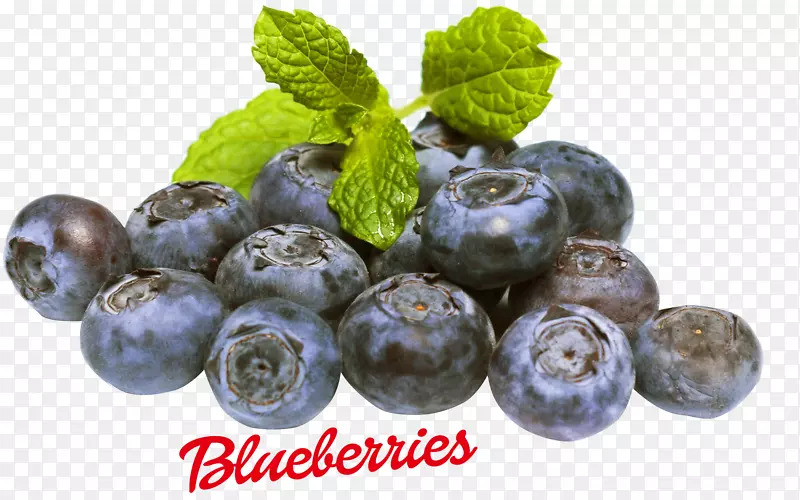 蓝莓食用水果越橘